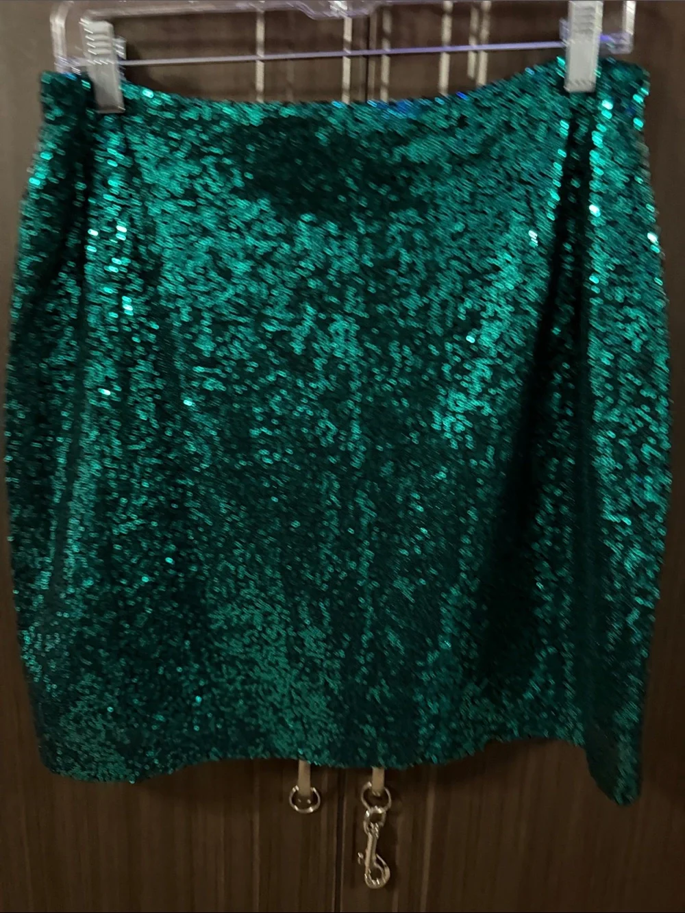 Green Sequin Mini‎ Skirt with Front Exposed Zip